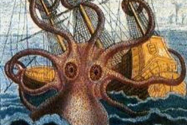 Kraken как найти ссылку