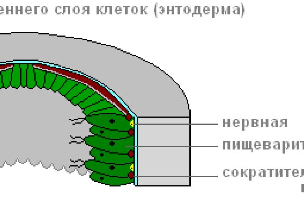 Кракен даркнет регистрация