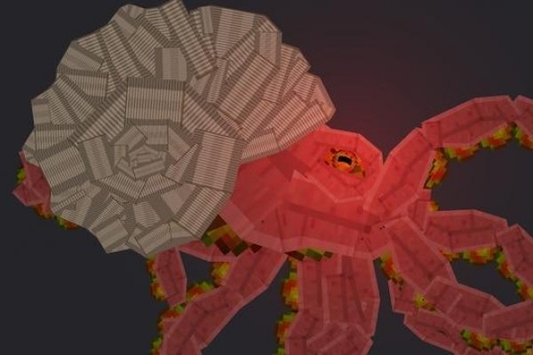 Kraken 25 at