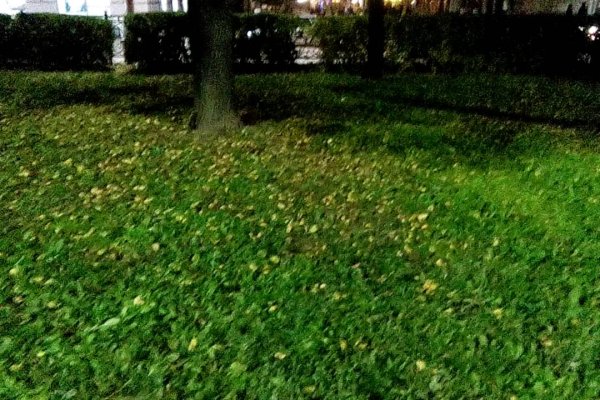 Кракен лого маркетплейс
